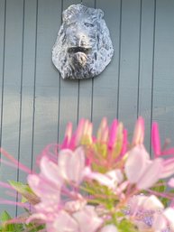 Lions Head Vintage Zinc Garden Ornament