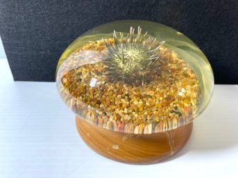 Nature Gems Paper Weight