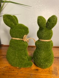 Pair Of Sitting Grassy Bunny Rabbits