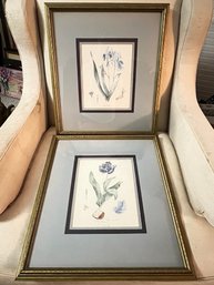 Two Framed Flower Prints