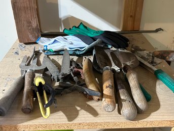 Group Of Garden Tool And Gloves