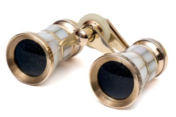 Elegant Pair Of Opera Glasses With Case