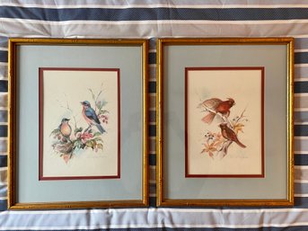 Beautifully Framed Bird Prints By Paul Whitney Hunter