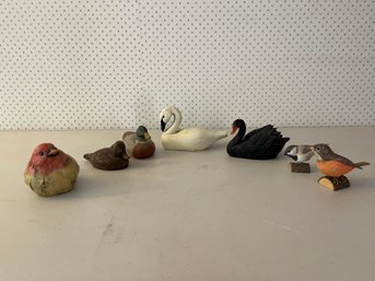 Assortment Of Ducks And Birds