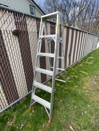 Werner 6 Foot Aluminum Ladder