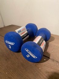 Reebok 2 And 3 Pound Hand Weights