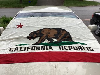 Vintage Cloth California State Flag 4 X 6 Republic