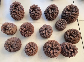 Thirteen Large Sugar Pine Cones From Lake Tahoe