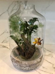 Large Fully Developed Domed Terrarium From TERRAIN Westport