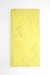 Stunning Sulphur Wall Art By Romina Gonzales