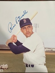 Rico Petrocelli Signed 8' X 10' Photo