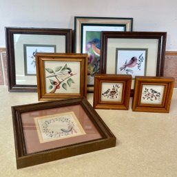 Lot Of Framed Birds (7)