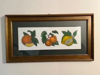 Original Framed Wall Art Of Oranges