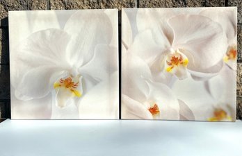 Orchids On Canvas  - Pair