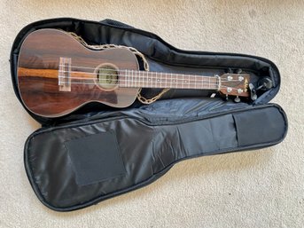 Kala Ziricote Concert Ukulele, Model KA-ZCT-C