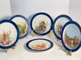 Six Gorgeous Vohenstrauss Bavaria Hand Painted Plates