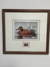 Limited Edition Signed Print Of Migratory Bird Hunting & Conservation Stamp, Cinnamon Teal