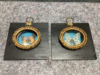 Pair Framed And Mounted Butterflies On Wood Panels With Brass Hangers