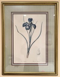 Pair Of Botanical Prints By PJ Redoute