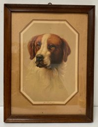 Vintage Framed Realistic St Bernard Dog Print By Garnet Bancroft G B Fox - The Challenger