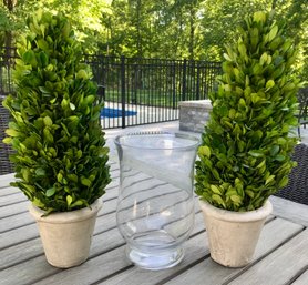 Petite Topiaries And Glass Globe Trio