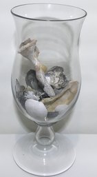 Large Standing Glass Vase, Decorative Pretty Sea Shells