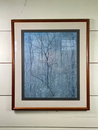 Redbud Trees Framed Print, Red River Gorge Kentucky