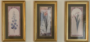 Trio Of Framed Floral Prints