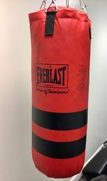 EVERLAST Heavy Bag