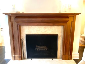 Elegant French Brushed Metal Fireplace Screen