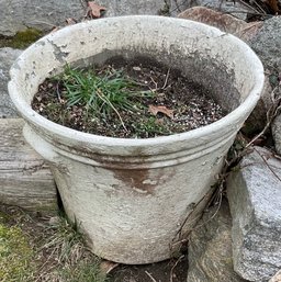 White D Concrete Planter, Pot.