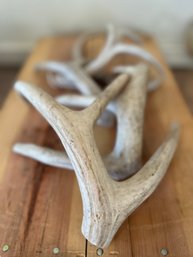 Lot Of Five Antlers - Not Treated - Awesome For Dog Bones