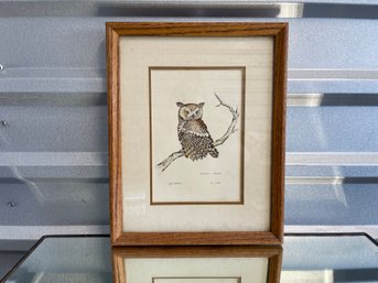 Nancy Pallan Signed Limited Edition - 21/200 - Screech Owl