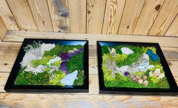 Enchanted Forest Moss Shadow Boxes