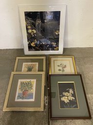Five Framed Prints Of Organic Nature