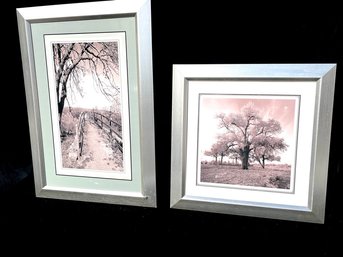 Sepia Colored Natural Outdoor Photograph Prints In Metalic Frames .