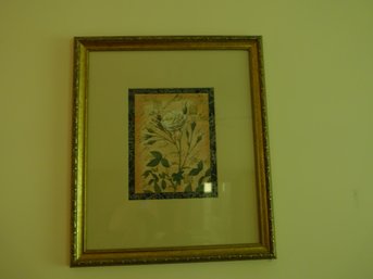 Framed Print Of Subtle Plant.