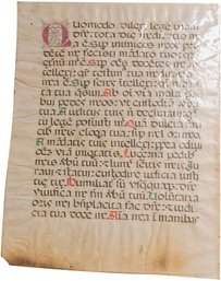 Original Antique Medieval/Renaissance Manuscript Parchment Circa 1500