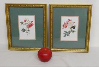 Pair Of Nicely Framed Botanical Flower Prints