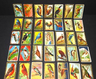 Antique MECCA Aviary Birds Tobacco Cards