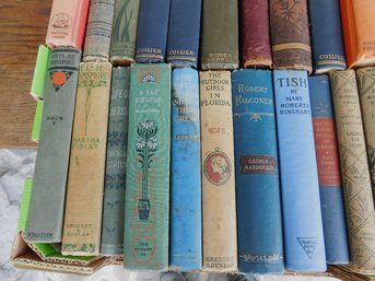 An Assortment Of Antique Books 19th & Early 20th C.