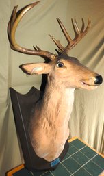 Life Sized Vintage Buck The Talking Christmas Reindeer