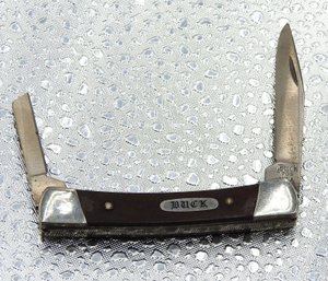 Vintage 2 Blade Buck Folding Knife