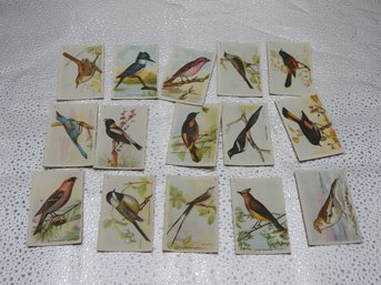 Old Aviary Bird Tobacco Cards