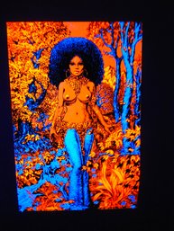 22x32 Houston Blacklight 1970 WOMAN IN WOODS Poster