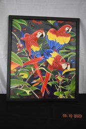 Art Print - Colorful Parrot