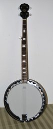 Rogue Banjo With Remo Head.