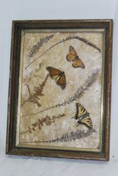 Vintage Framed Butterflies And Flowers