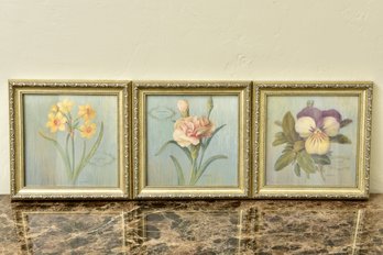 Set Of Three Floral Framed Prints