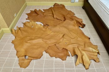 Collection Of Five Tan Leather Remnants